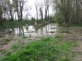 Le Site (Yvon)